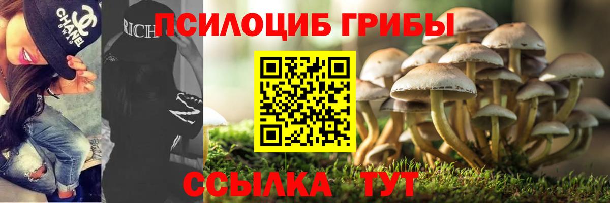Псилоцибиновые грибы прущие грибы Нововоронеж